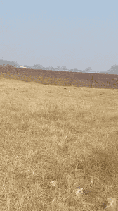 Chuttu Plot View 2