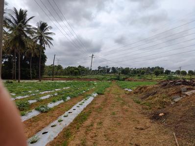 Image of 91200 Sq.ft Residential Plot / Land for sale in Rajanukunte, Bengaluru for Rs. 150000000