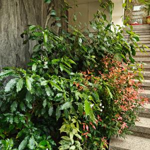 Image of 9600 Sq.ft 5 BHK Independent House for sale in Judicial Layout, Bengaluru for Rs. 139500000