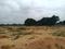 Bongloor Plot View 1