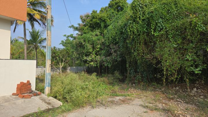 Manasa Tej Main Image 1