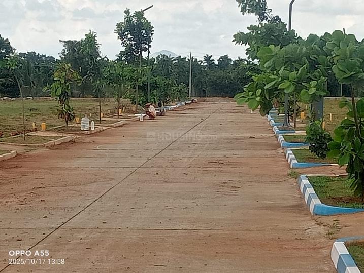 Ashwasurya Yashas Main Image 1