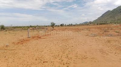 Residential Plot