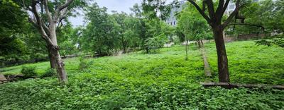 Koba Plot View 1