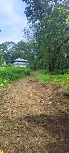 Changanassery Main Image 1