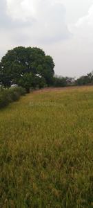 Agricultural Land