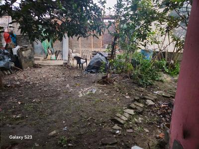 Dharma Plot View 3