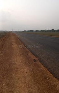 Project sar Plot View 1