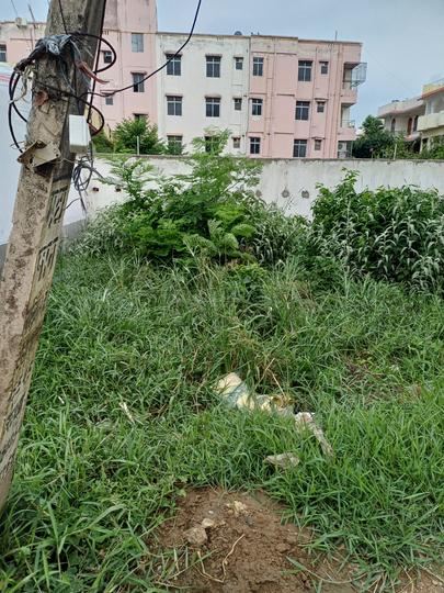 Jagdeopath manokamna mandir Main Image 1