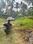 North Kalamassery Main Image 1