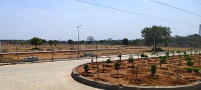 Habitat Silver Oak Plot View 2