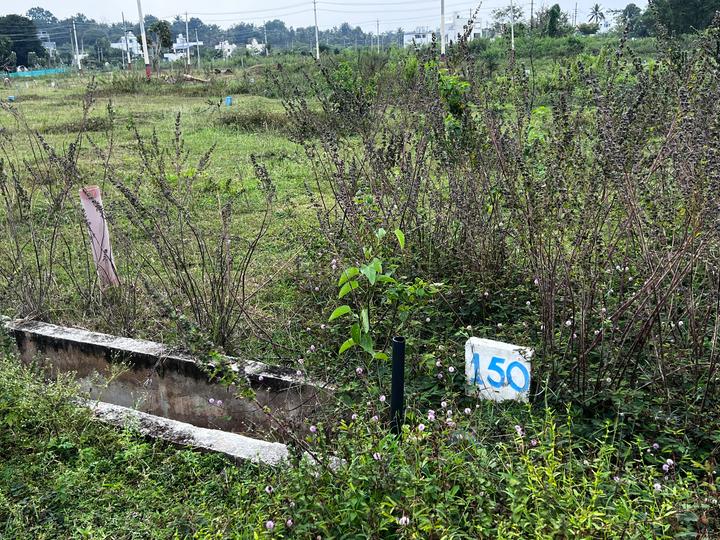 Bank Employees' Colony, Bogadi Main Image 1