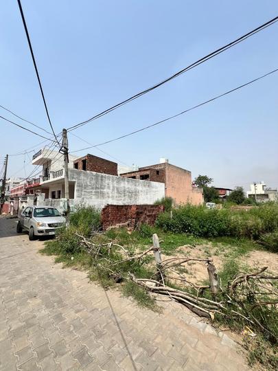 Kurali Main Image 1