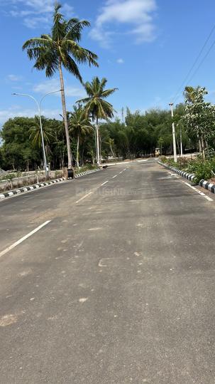 Nenmeli, Chengalpattu Main Image 1