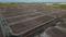 Irugur Plot View 2