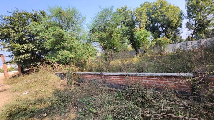 Vaikuth dham Main Image 1