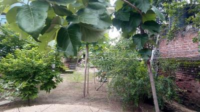 Balcony Image of 4600 Sq.ft 3 BHK Independent House for sale in Kazipet Warangal for Rs. 14000000