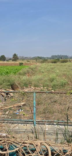 Attibele Main Image 1