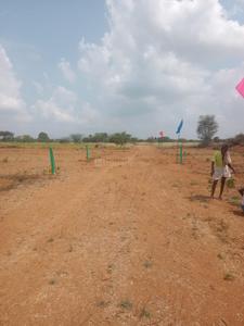 Jothi Nagar, Tiruttani Plot View 2