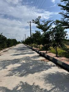 Image of 1666 Sq.ft Residential Plot / Land for sale in Shadnagar, Ranga Reddy for Rs. 4165000
