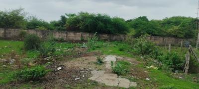 Dabha Plot View 1