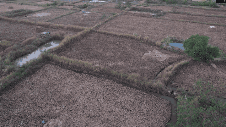 Palaspa, Shirdhon Main Image 1