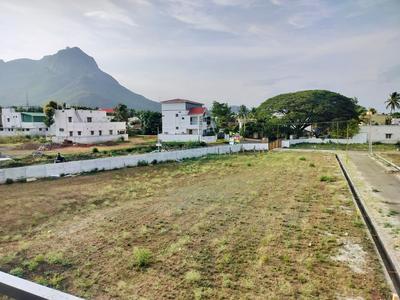 Residential Plot