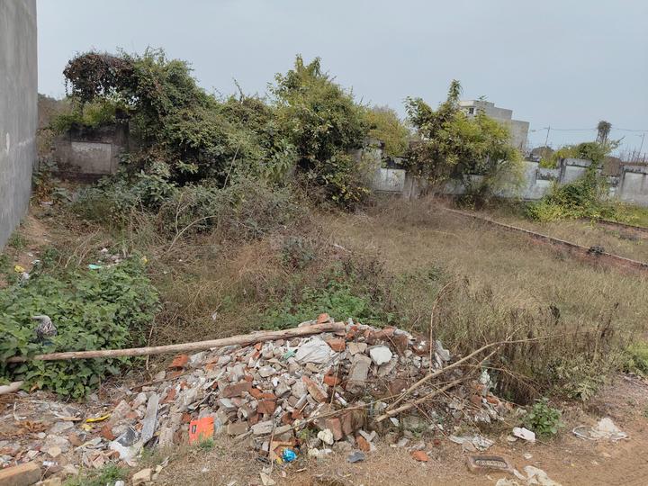 NJS CITY Main Image 1