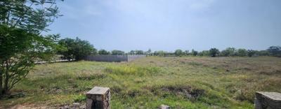 Residential Plot