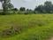 Jaswant Nagar, Shramik Nagar Plot View 2