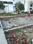 Shastri Nagar Plot View 2