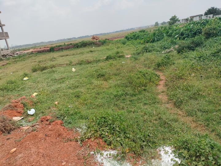 Botanda Main Image 1