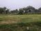 Vatika India Next Plot Main Image 1