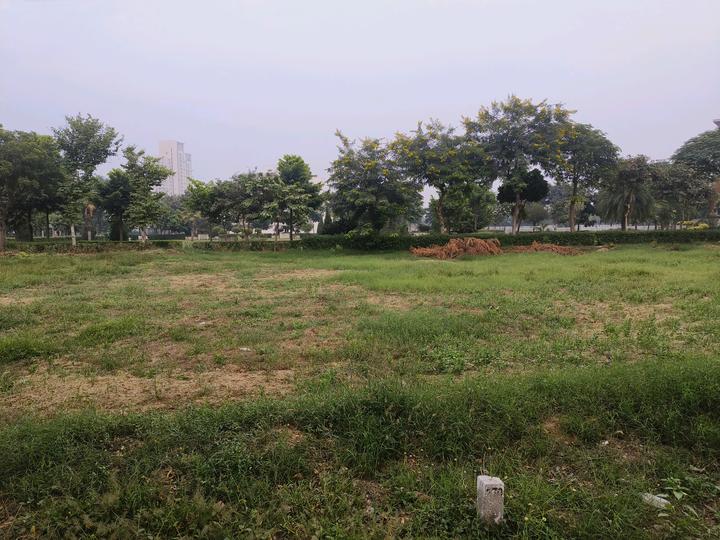 Vatika India Next Plot Main Image 1