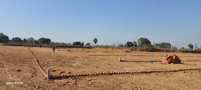 Orchid green  Plot View 1