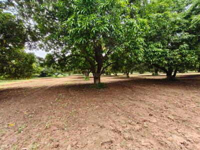 Image of 39300 Sq.ft Residential Plot / Land for sale in Kothapalle, Hyderabad for Rs. 60900000
