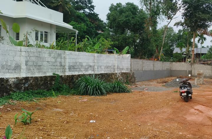 Thevakkal Main Image 1