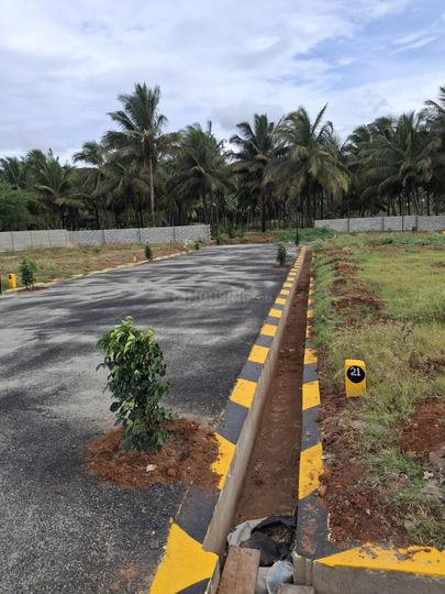 Kinathukadavu Plot View 1