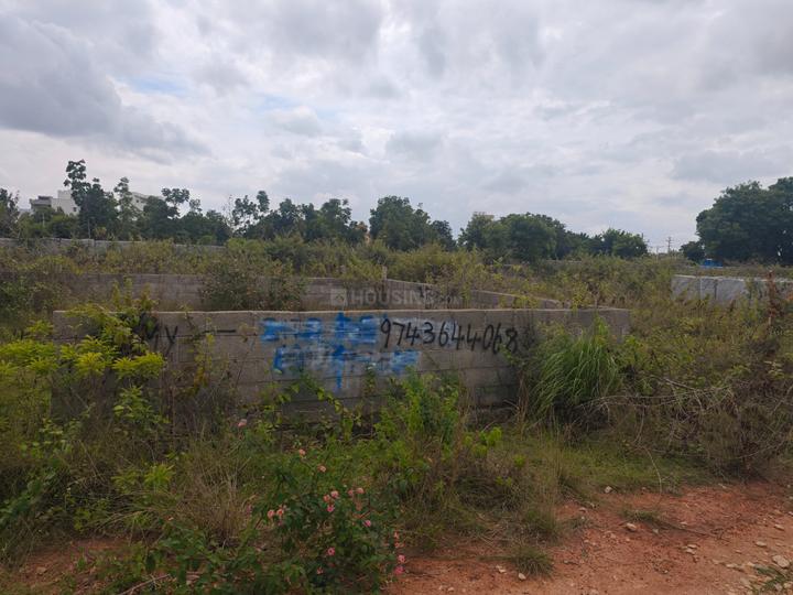 Marsandra Main Image 1