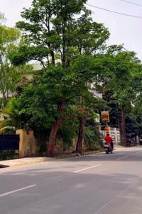 Dalanwala Plot View 1
