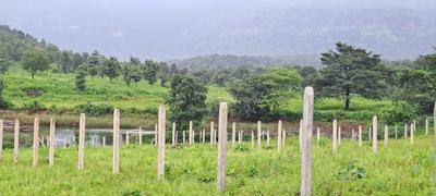 Image of 3229 Sq.ft Residential Plot / Land for sale in Karjat, Thane for Rs. 4840271