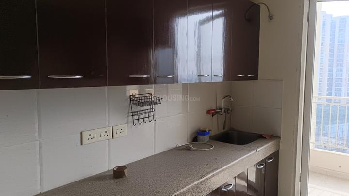 Sam Palm Olympia Main Image 1