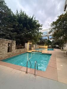 Image of 1800 Sq.ft 3 BHK Apartment / Flat for rent in Whitefield, Bengaluru for Rs. 53000