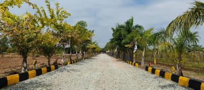Residential Plot
