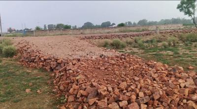 Chirora Plot View 3