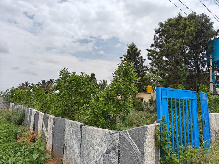 Devanahalli Main Image 1