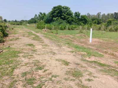 Image of 1980 Sq.ft Residential Plot / Land for sale in Diwancheruvu, Rajahmundry for Rs. 1870000