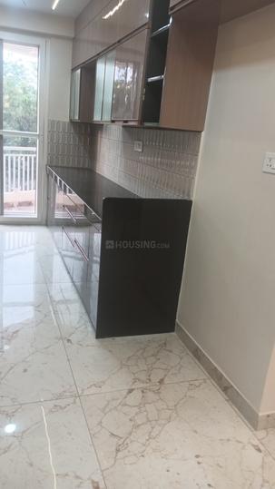 Livgyan Main Image 1