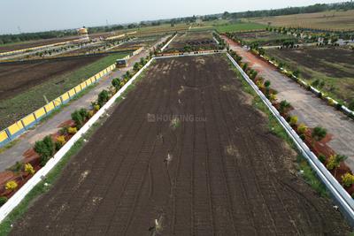 Image of 1818 Sq.ft Residential Plot / Land for sale in Punadipadu, Vijayawada for Rs. 3636000