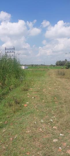 Sun City Main Image 1